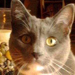 Meet your Posher, Margy